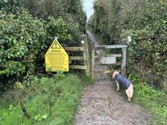 If only dogs could read, she wouldn't need to be on the lead!